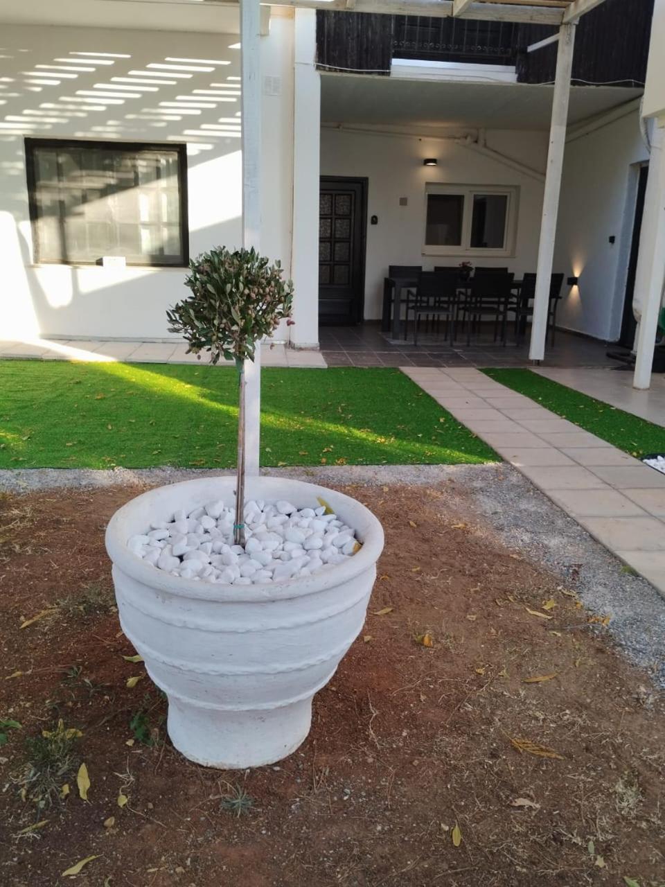 Black N' White Cozy Housegarden 알렉산드로폴리스 외부 사진